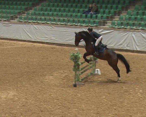 Reitturnier Kreuth/Opf. 2024
