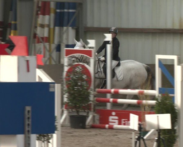 Reitturnier Ibbenbüren 2024