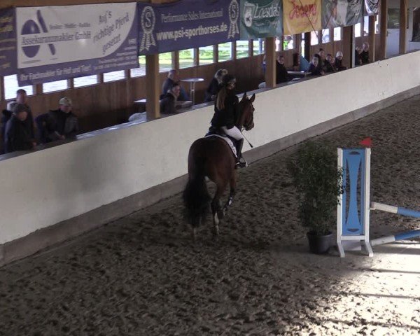 Reitturnier Fleesensee Classic´s 2024