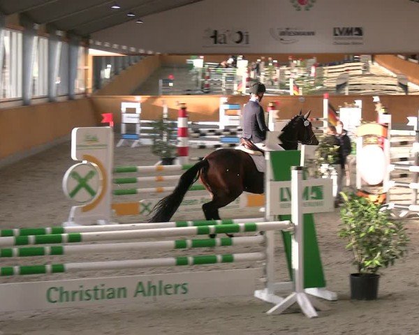 Reitturnier Münster-Amelsbüren 2024