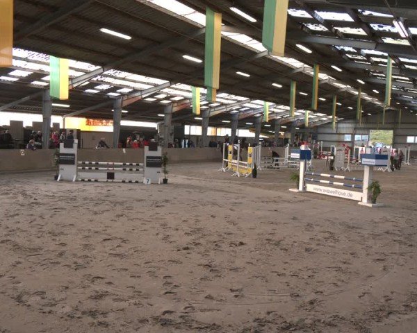 Reitturnier Ibbenbüren 2024