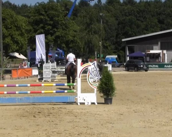 Vinnummer Reitertage 2013