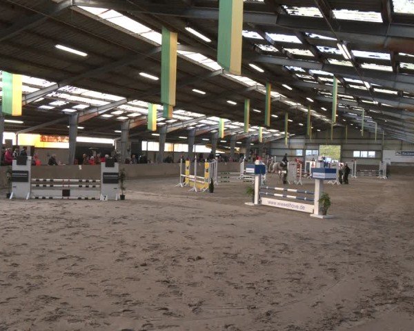 Reitturnier Ibbenbüren 2024