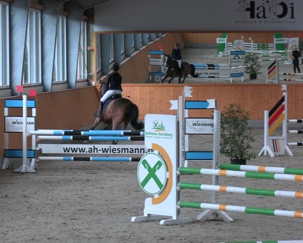 Reitturnier Münster-Amelsbüren 2024
