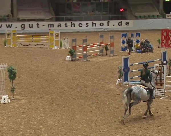Reitturnier Kreuth/Opf. 2024