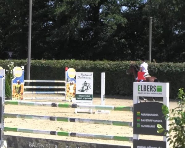 Vinnummer Reitertage 2013