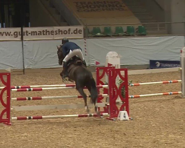 Reitturnier Kreuth/Opf. 2024