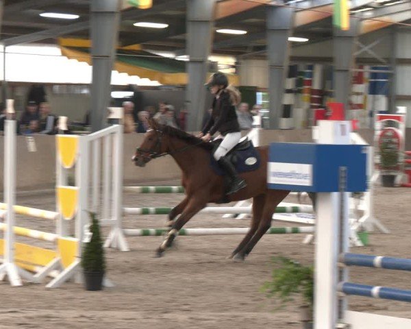 Reitturnier Ibbenbüren 2024