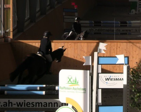 Reitturnier Münster-Amelsbüren 2024
