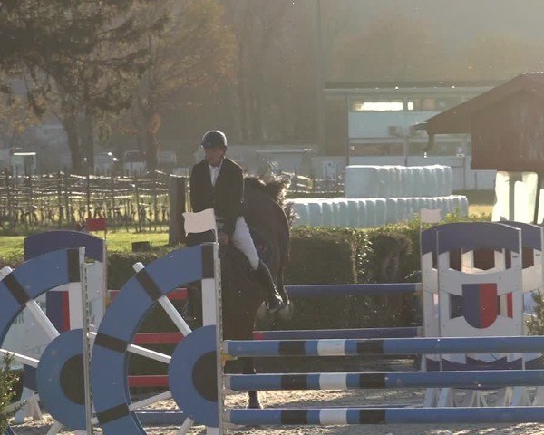 Reitturnier Giubiasco 2024