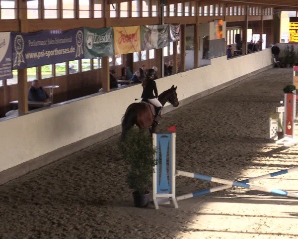 Reitturnier Fleesensee Classic´s 2024