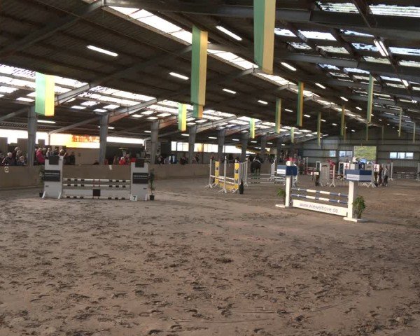 Reitturnier Ibbenbüren 2024