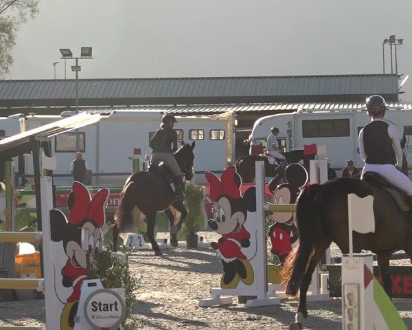 Reitturnier Giubiasco 2024