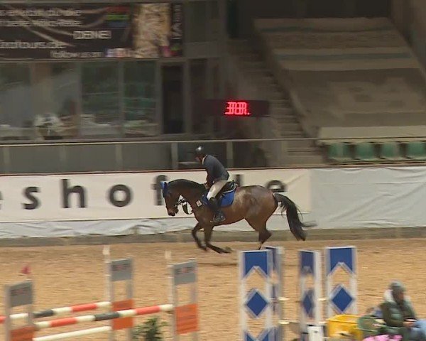 Reitturnier Kreuth/Opf. 2024