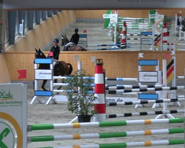 Reitturnier Münster-Amelsbüren 2024