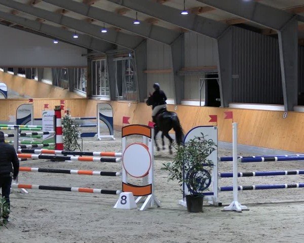 Reitturnier Münster-Amelsbüren 2024