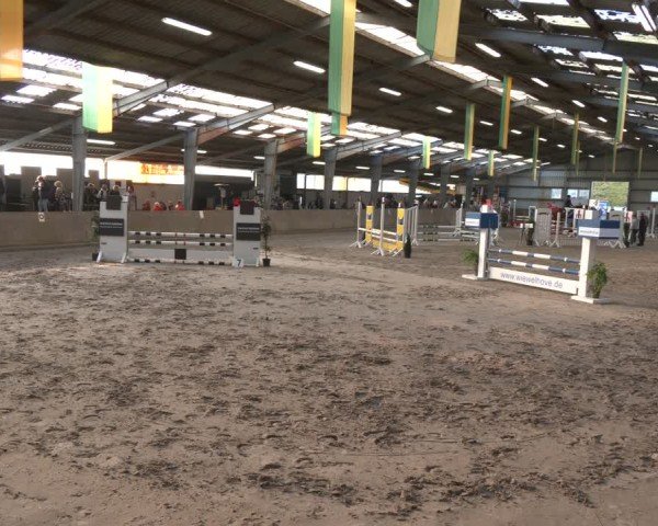 Reitturnier Ibbenbüren 2024
