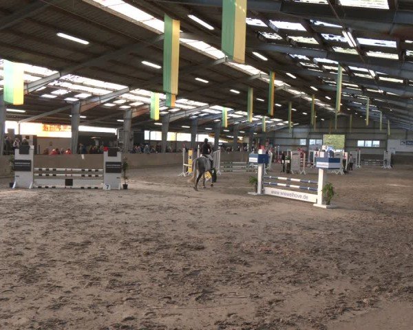 Reitturnier Ibbenbüren 2024