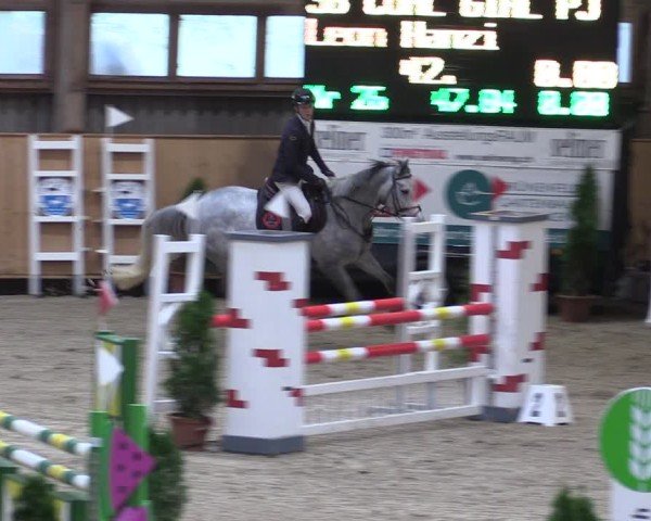Reitturnier Fehraltorf 2024