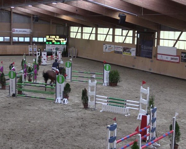 Reitturnier Fehraltorf 2024