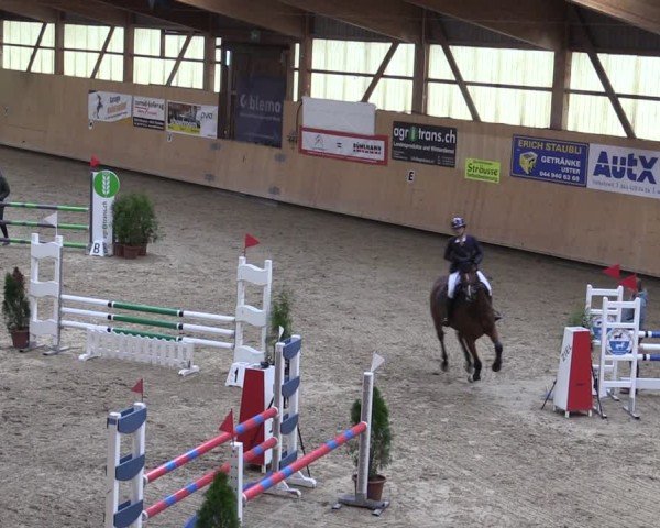 Reitturnier Fehraltorf 2024