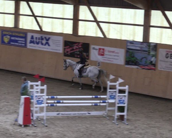 Reitturnier Fehraltorf 2024