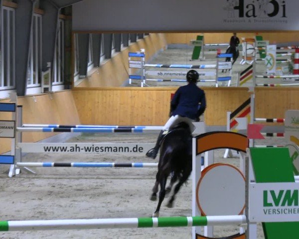 Reitturnier Münster-Amelsbüren 2024