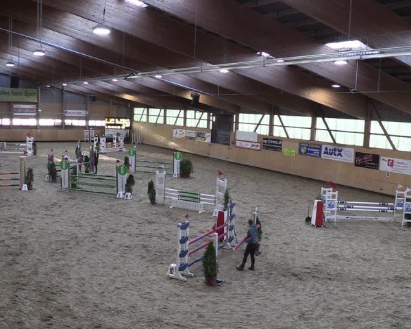Reitturnier Fehraltorf 2024