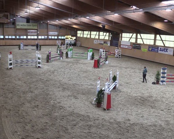 Reitturnier Fehraltorf 2024