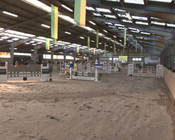 Reitturnier Ibbenbüren 2024