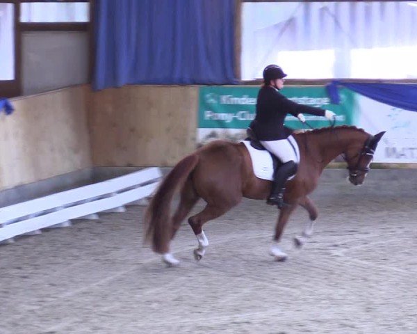 Reitturnier Großenwiehe 2024