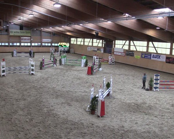 Reitturnier Fehraltorf 2024
