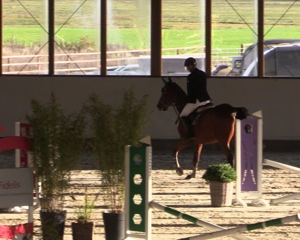 Reitturnier Fleesensee Classic´s 2024