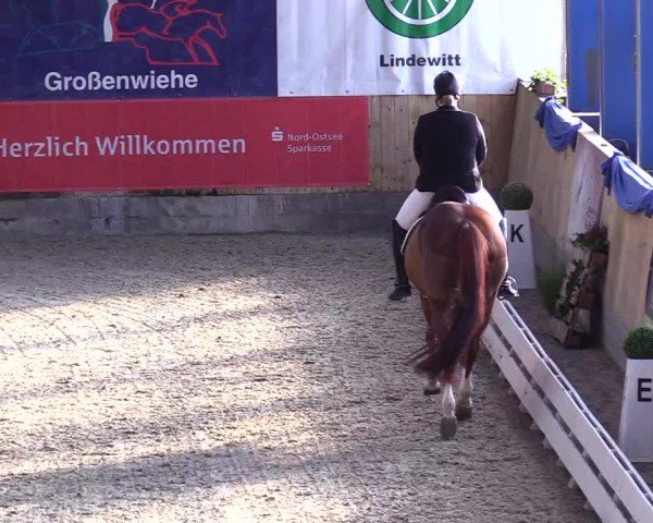 Reitturnier Großenwiehe 2024