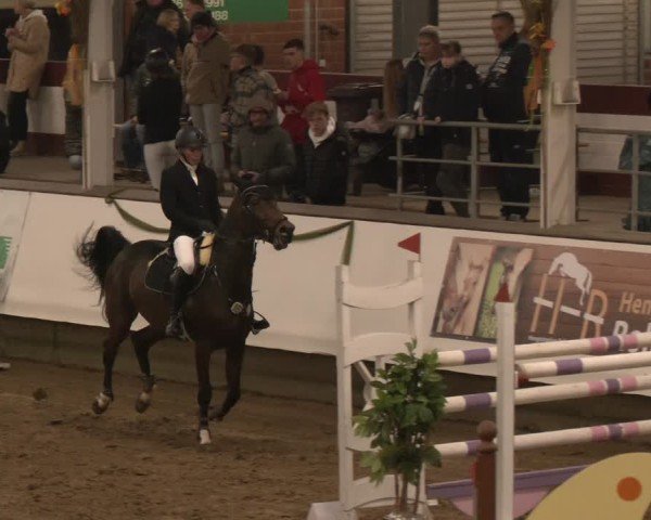 Reitturnier Marl, Reithalle Rohmann 2024