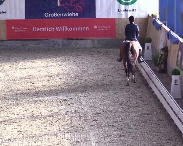 Reitturnier Großenwiehe 2024