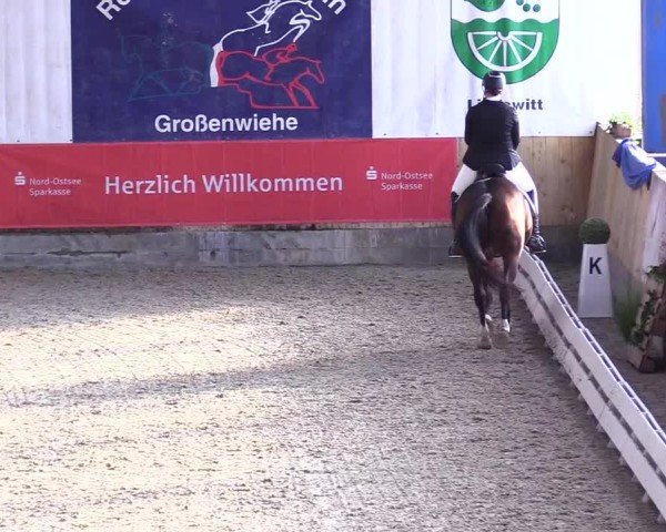 Reitturnier Großenwiehe 2024