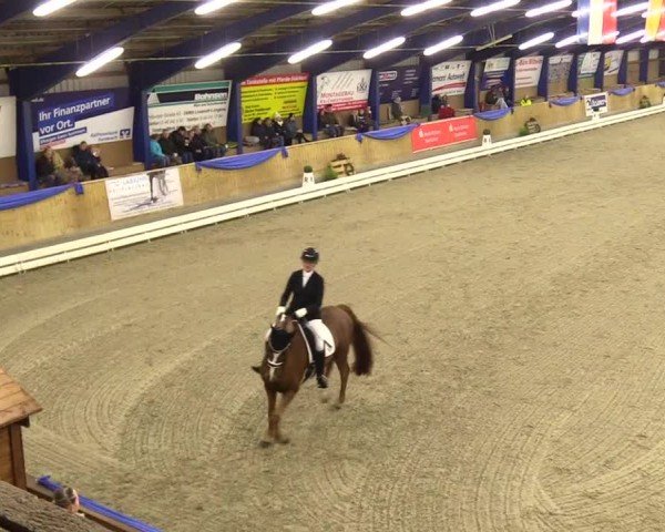 Reitturnier Großenwiehe 2024