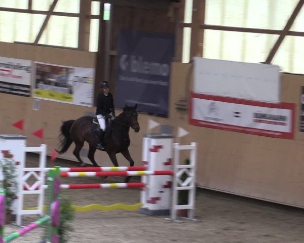Reitturnier Fehraltorf 2024