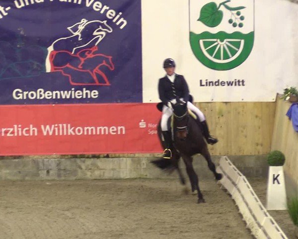 Reitturnier Großenwiehe 2024