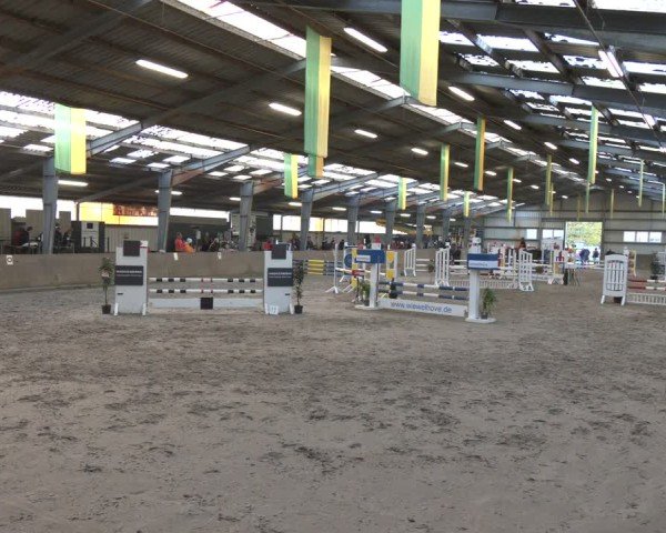 Reitturnier Ibbenbüren 2024