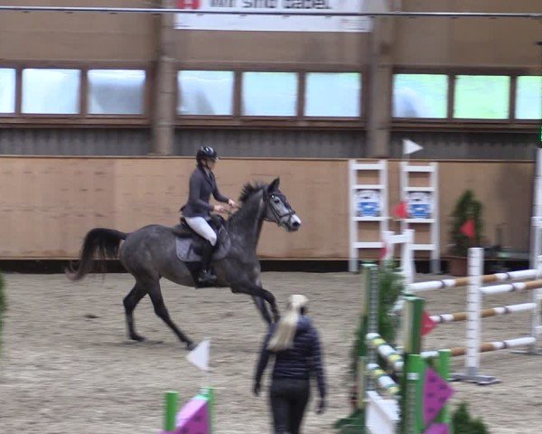 Reitturnier Fehraltorf 2024