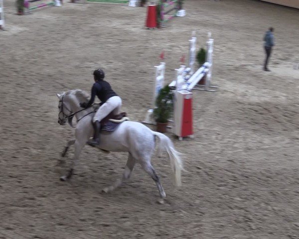 Reitturnier Fehraltorf 2024