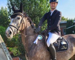 Springpferd Capicart (Westfale, 2020, von Capistrano 2)