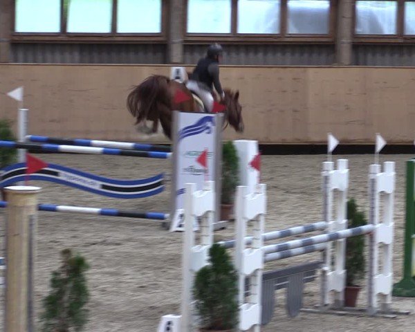 Reitturnier Fehraltorf 2024