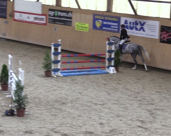 Reitturnier Fehraltorf 2024