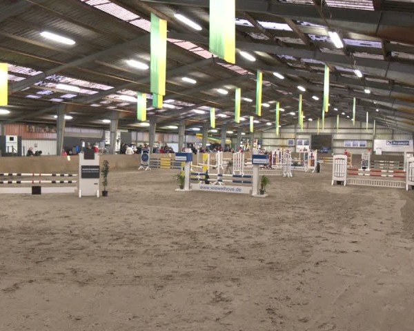 Reitturnier Ibbenbüren 2024
