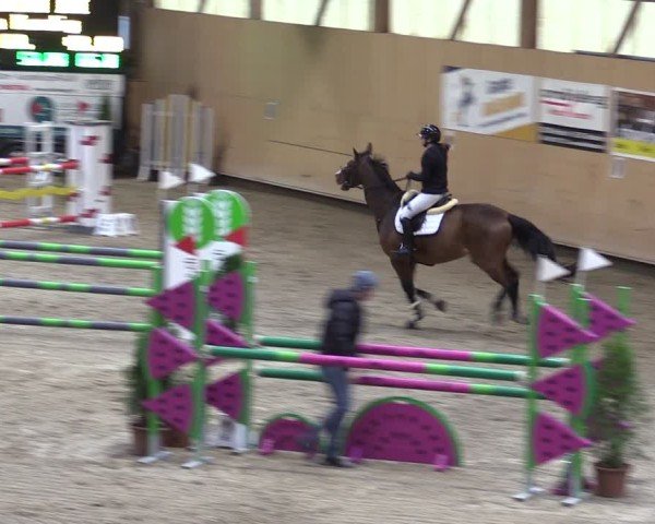 Reitturnier Fehraltorf 2024