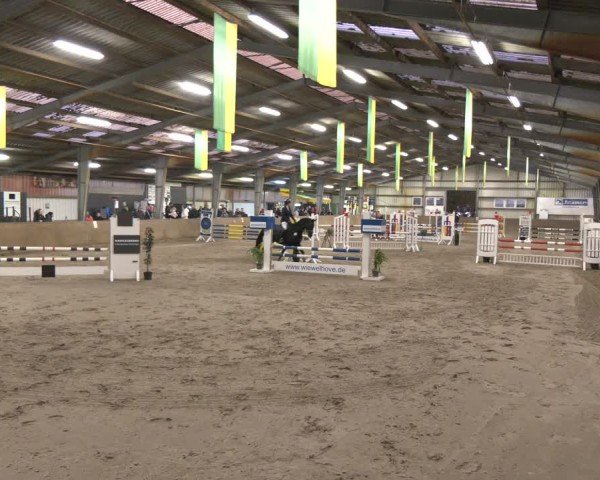 Reitturnier Ibbenbüren 2024