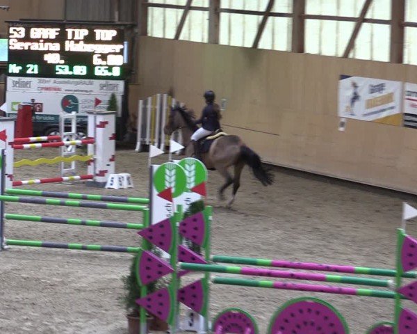 Reitturnier Fehraltorf 2024